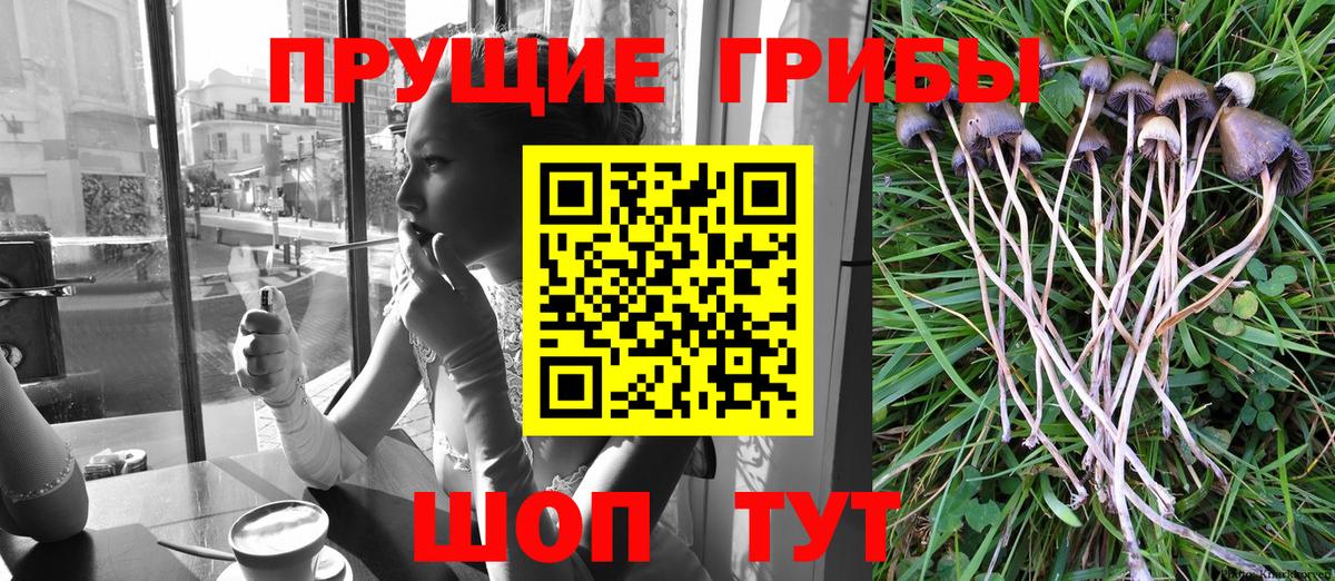 Псилоцибиновые грибы мухоморы Домодедово